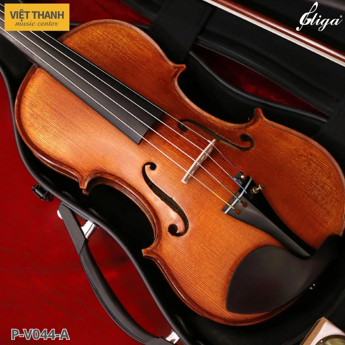mat truoc dan violin gliga gama p v044 a