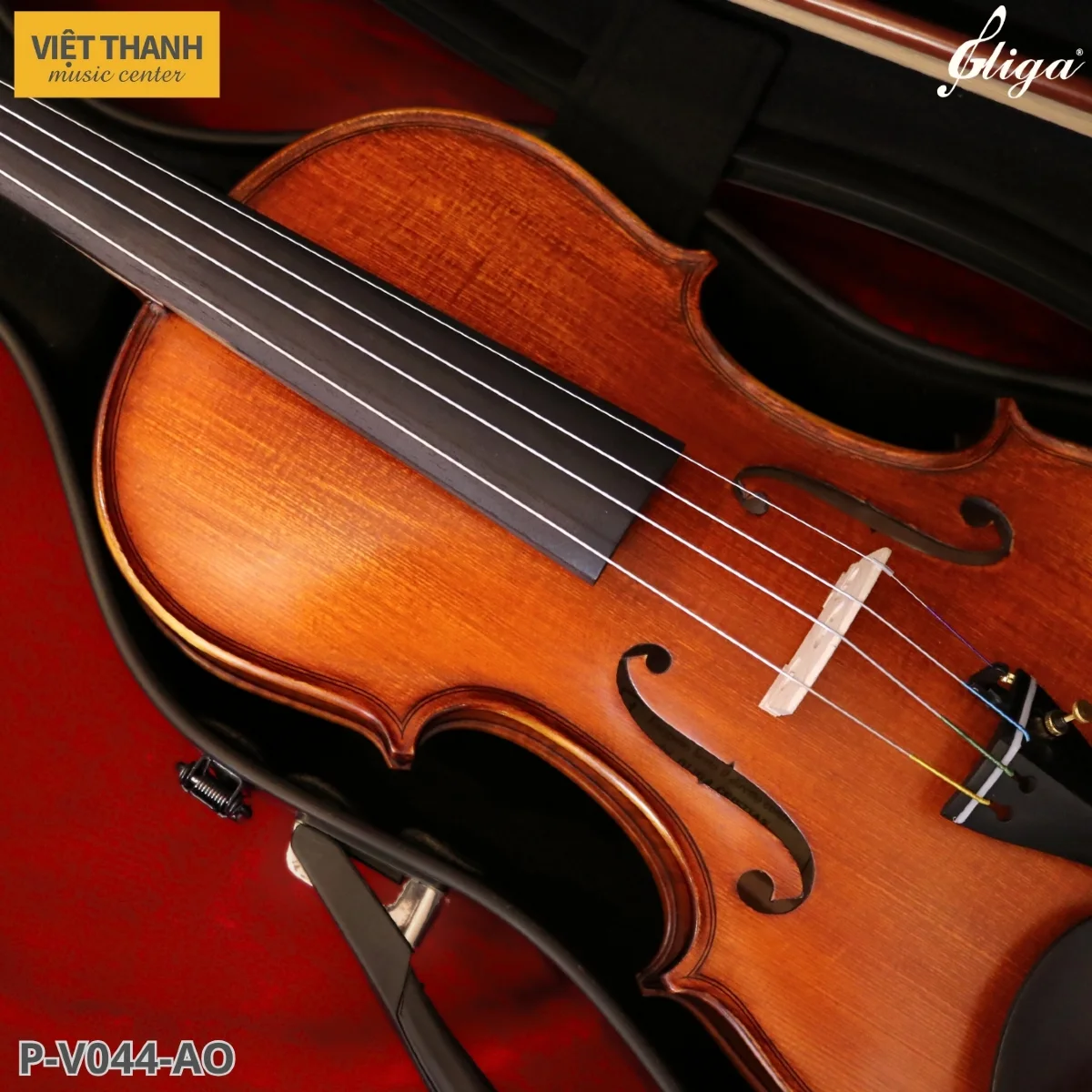 mat truoc dan violin gliga gama p v044 ao