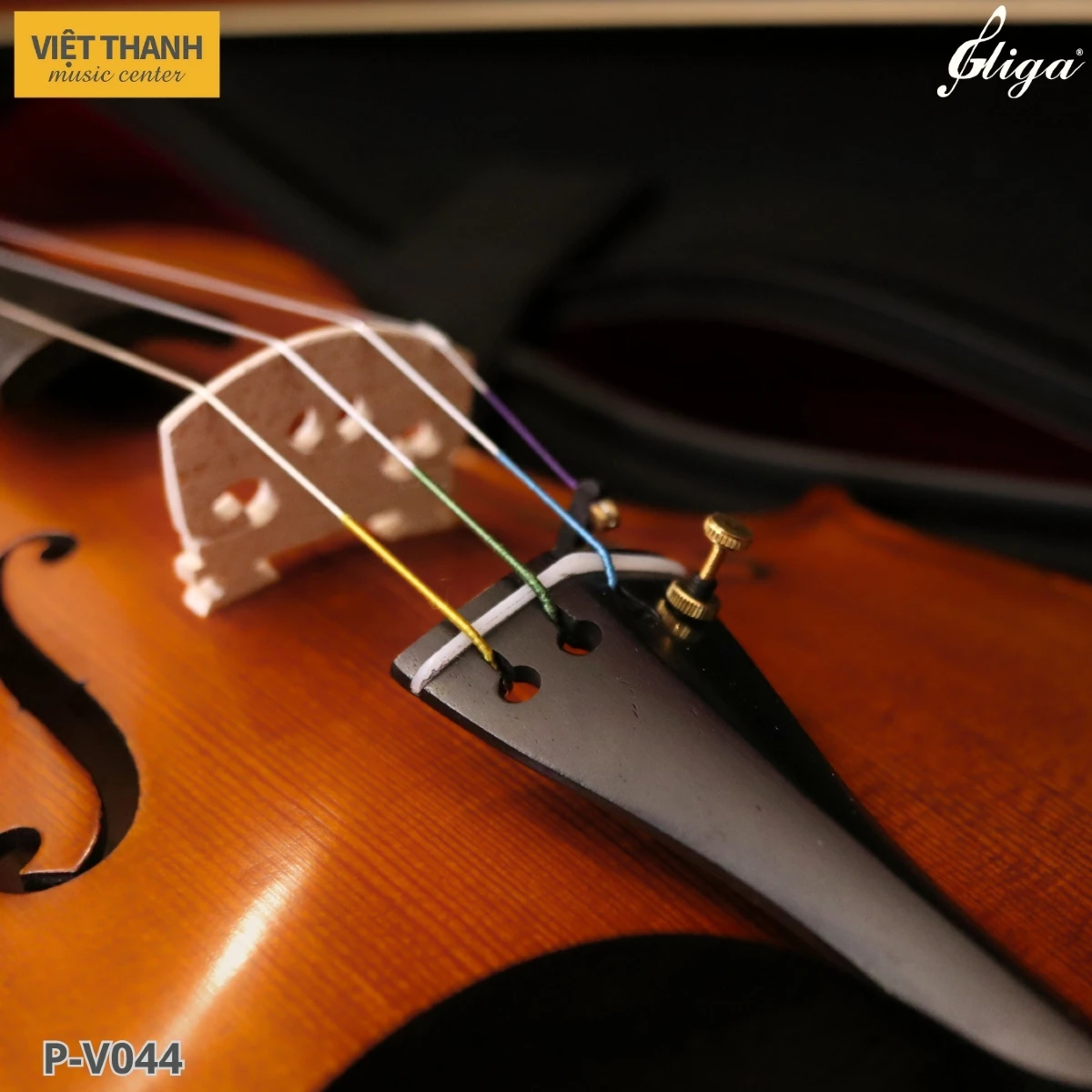 ngua dan violin gliga gama p v044