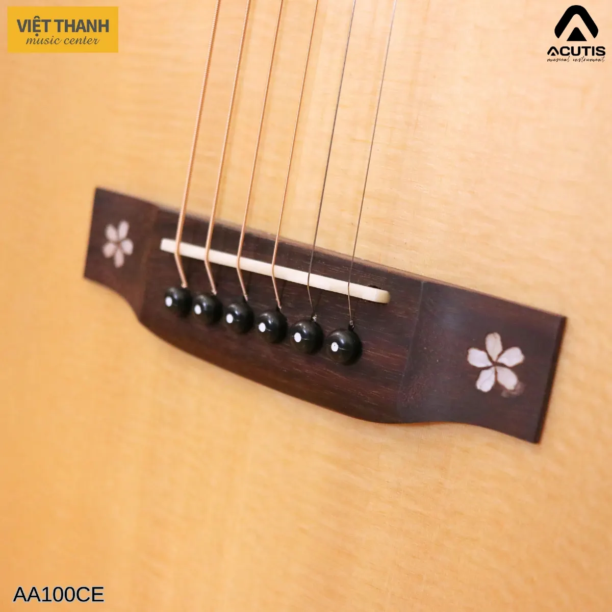 ngua dan guitar acutis aa100ce