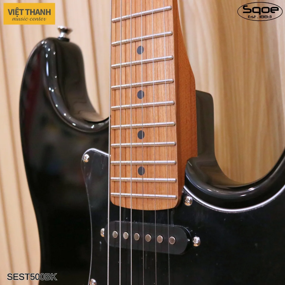 than dan guitar dien sqoe sest500 bk
