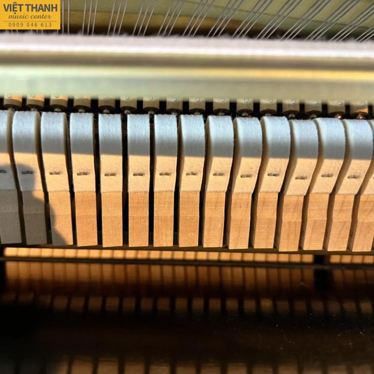 bua dan piano yamaha ym5