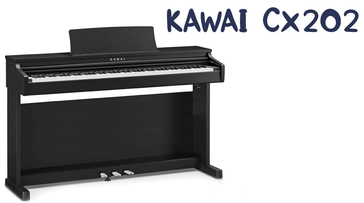 dan piano dien kawai cx202