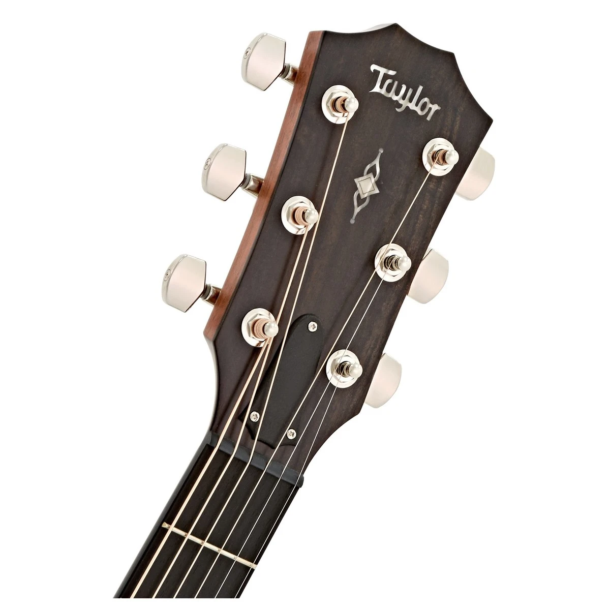 dau dan guitar taylor 314ce n