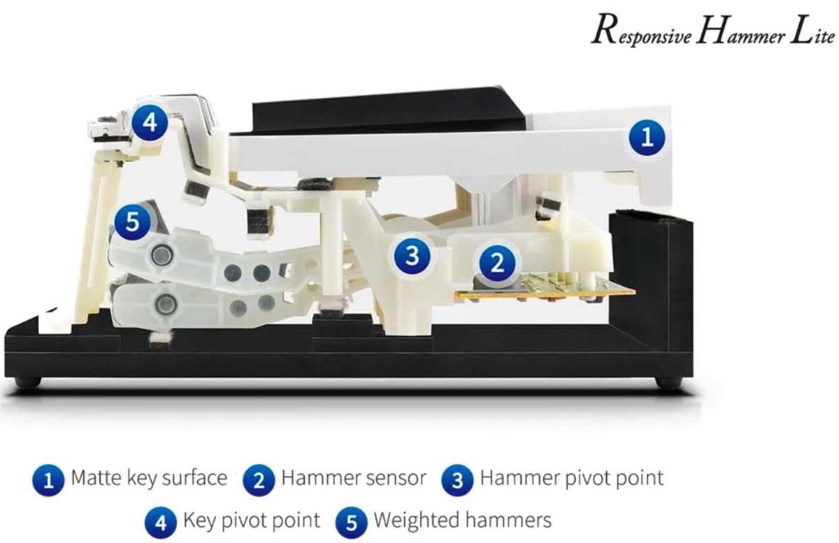 responsive hammer lite