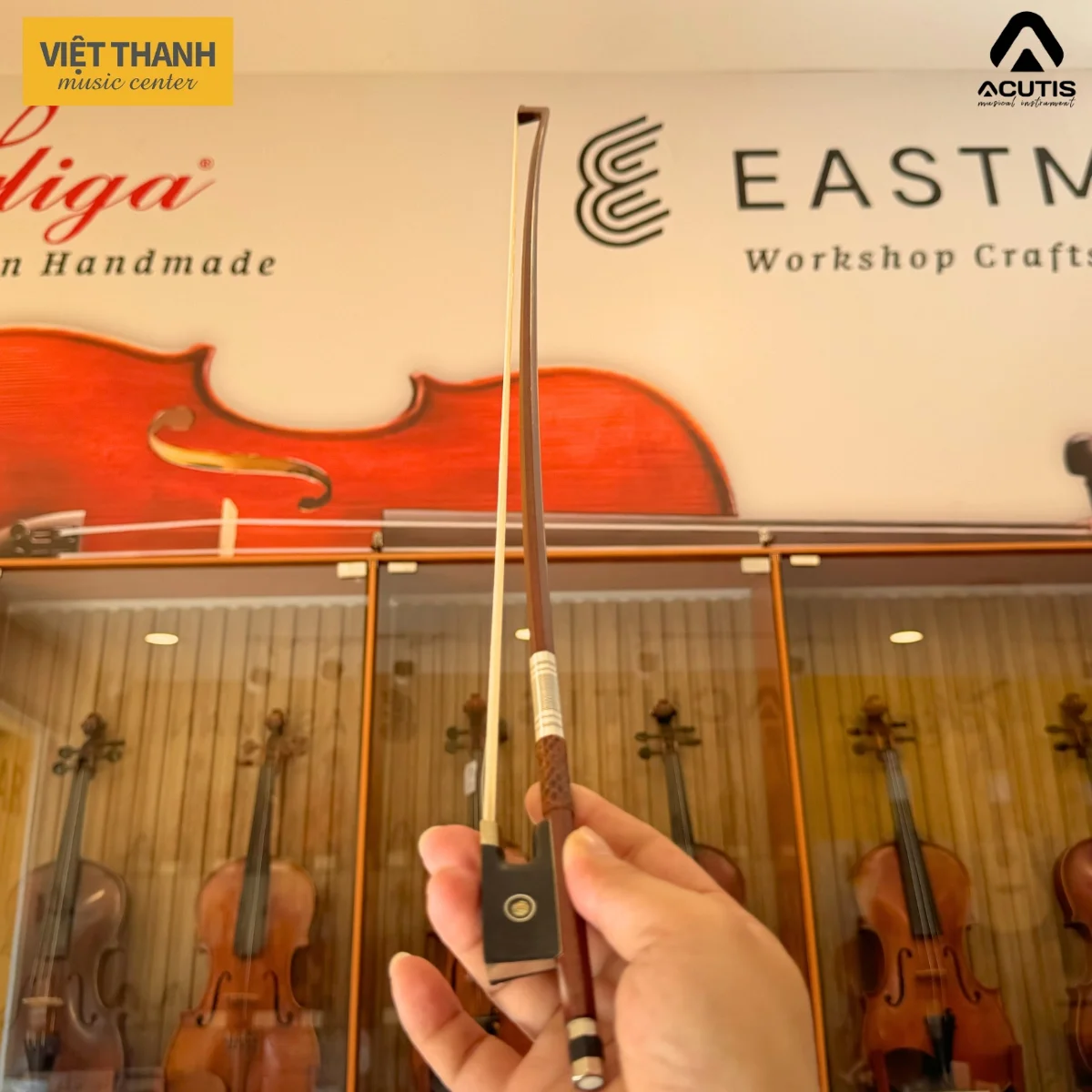 cay vi keo violin acutis abl50