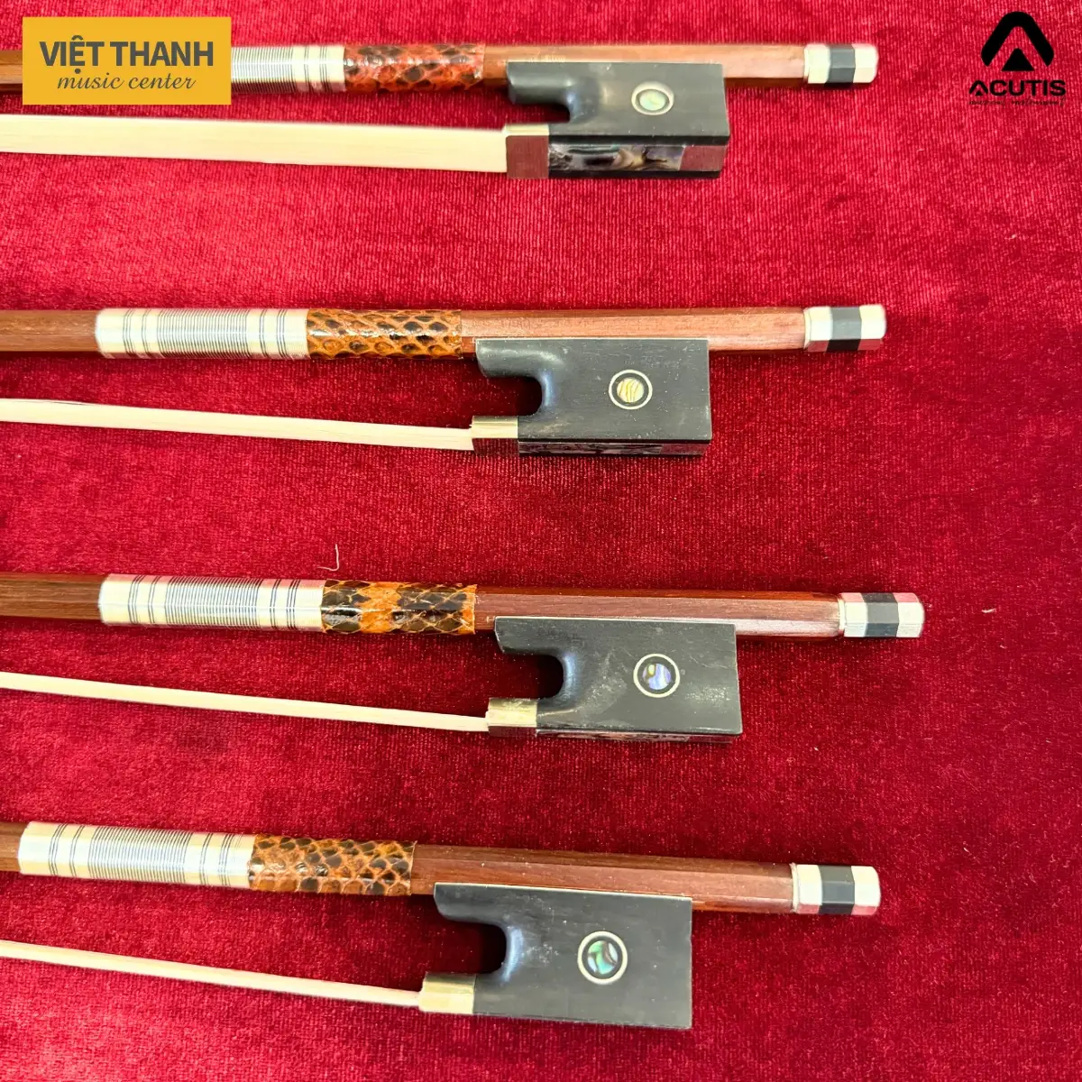 cay vi keo violin acutis abl50 viet thanh