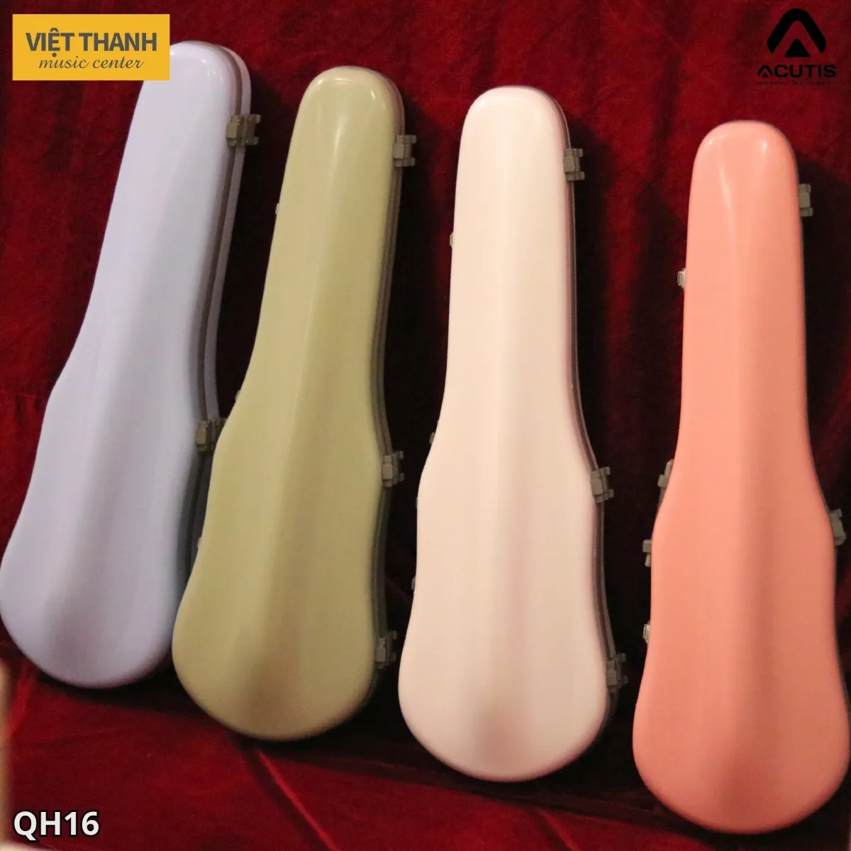 hop dung violin acutis qh16