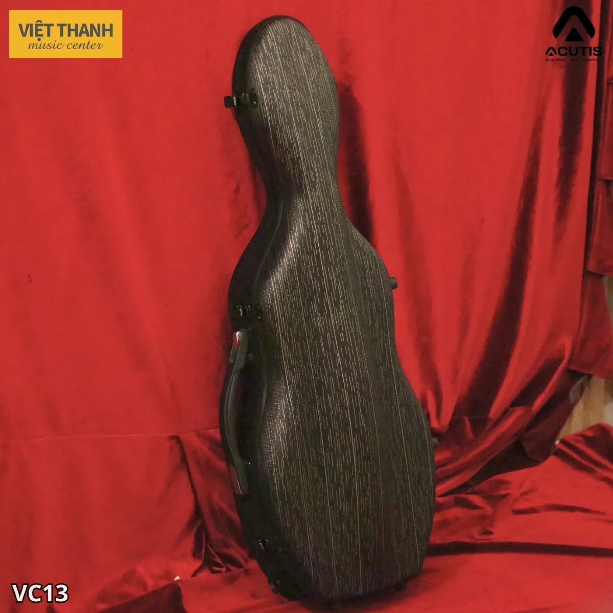 hop dung violin acutis vc13