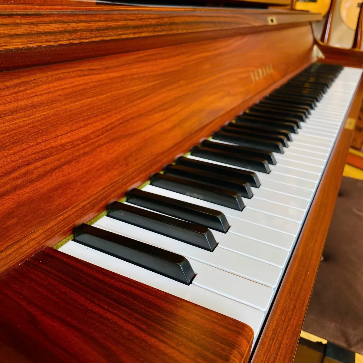 ban phim dan piano yamaha w101b