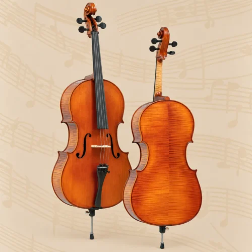 Đàn Cello Gliga Gama P-C018, size 1/8, hanmade in Romania