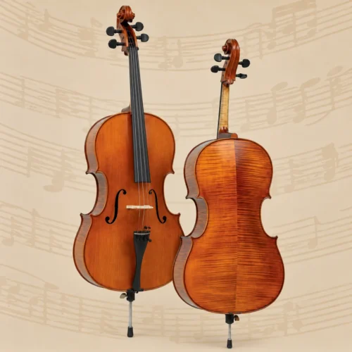 Đàn Cello Gliga Gama P-C044, size 4/4, hanmade in Romania