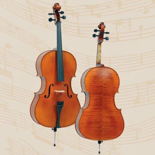 Đàn Cello Gliga Professional P-C044-M, Size 4/4, ‘Montagnana 1739’