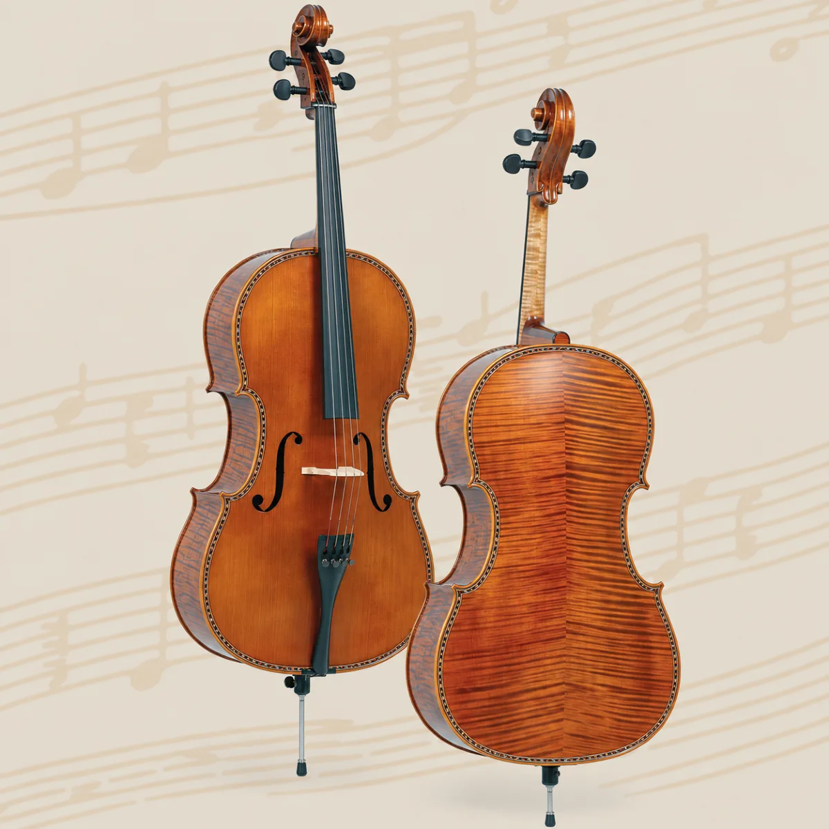 dan cello master gliga vasile special m c044 d