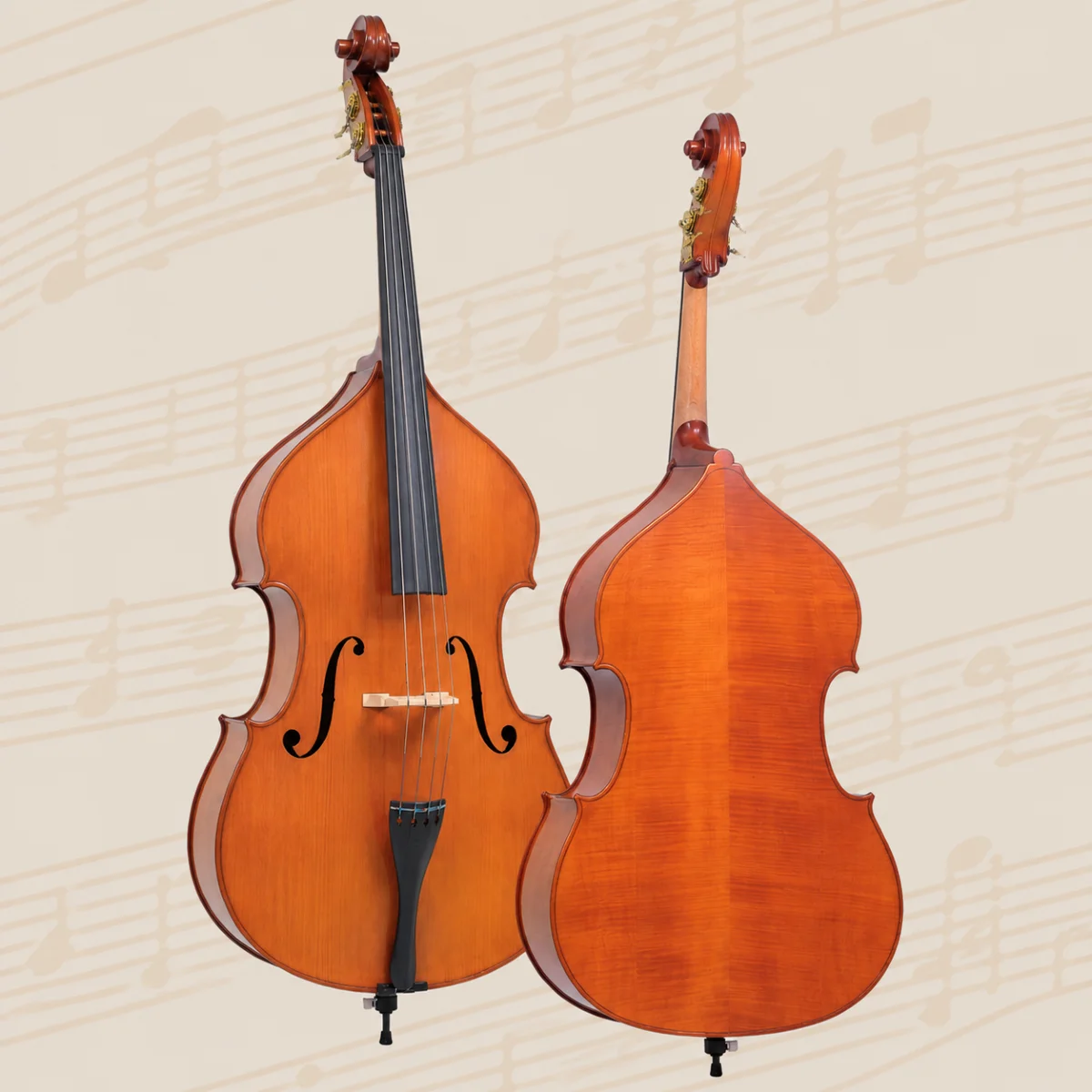 dan double bass gliga gems 2 i d034