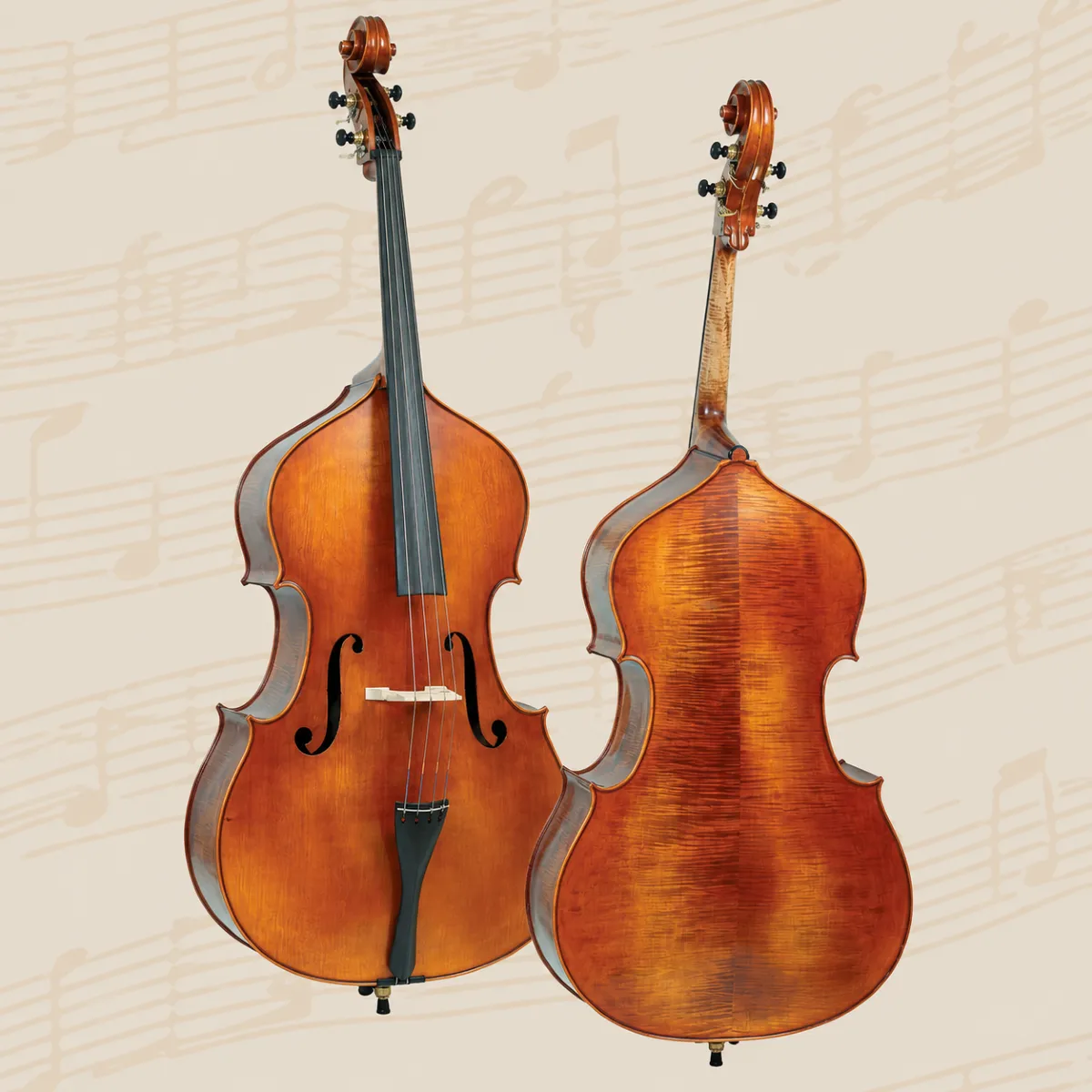 dan double bass master gliga cristian m d034
