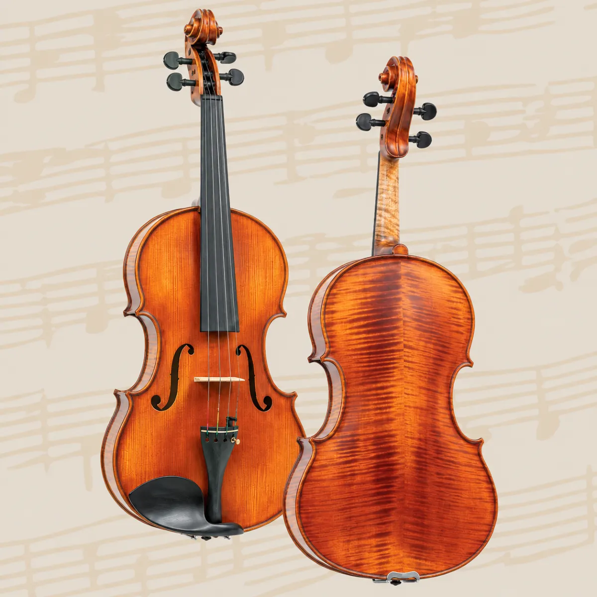 dan viola gliga gama p v16 a