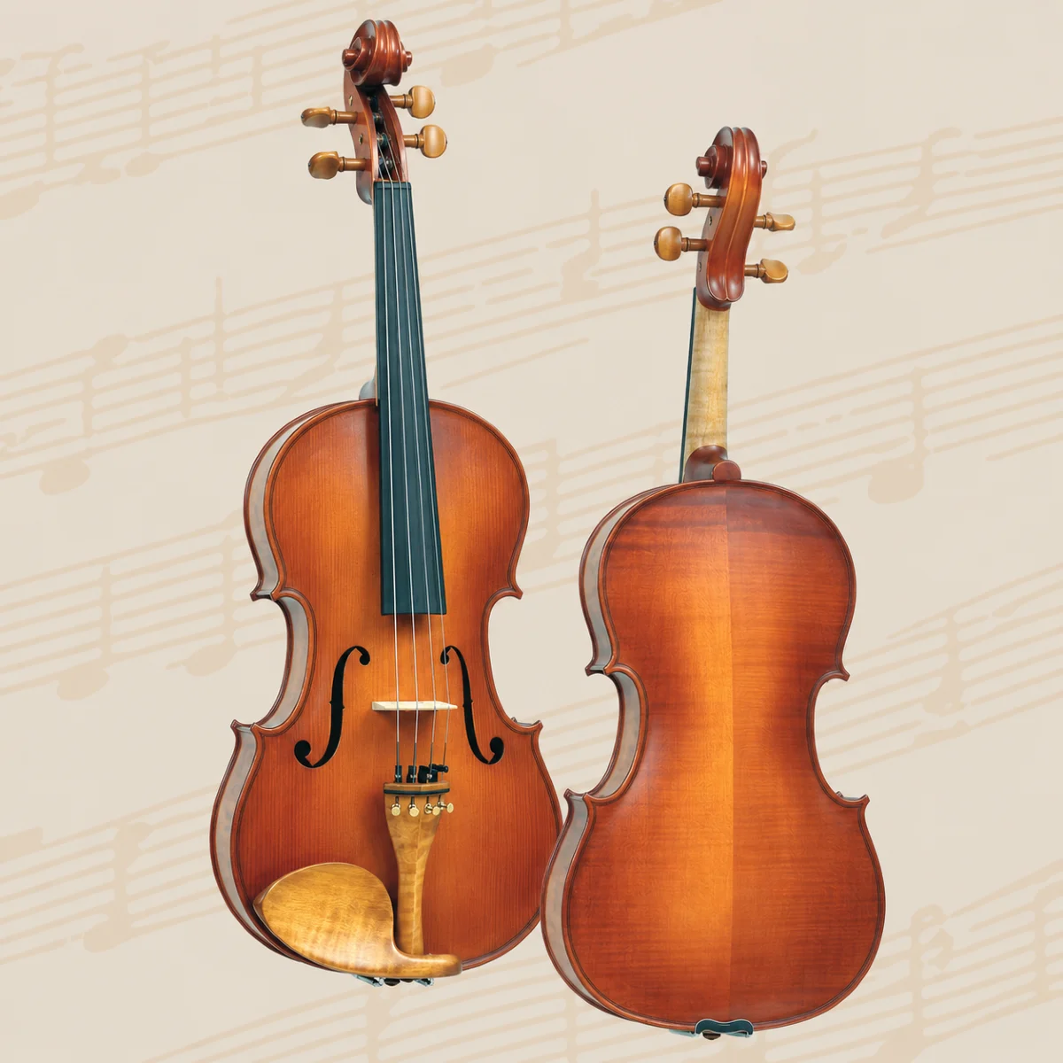 dan viola gliga gloria sg v17