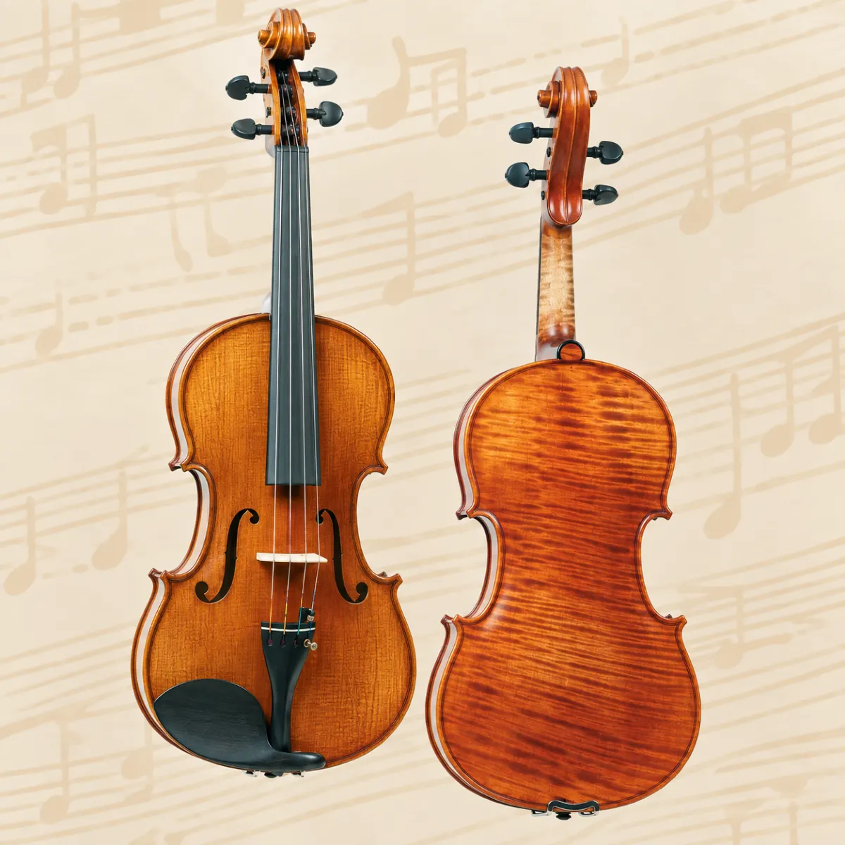 dan viola master gliga vasile m v15 o
