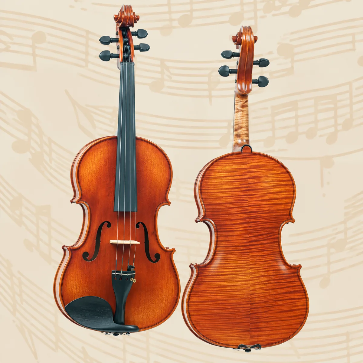 dan viola master gliga vasile m v155 o