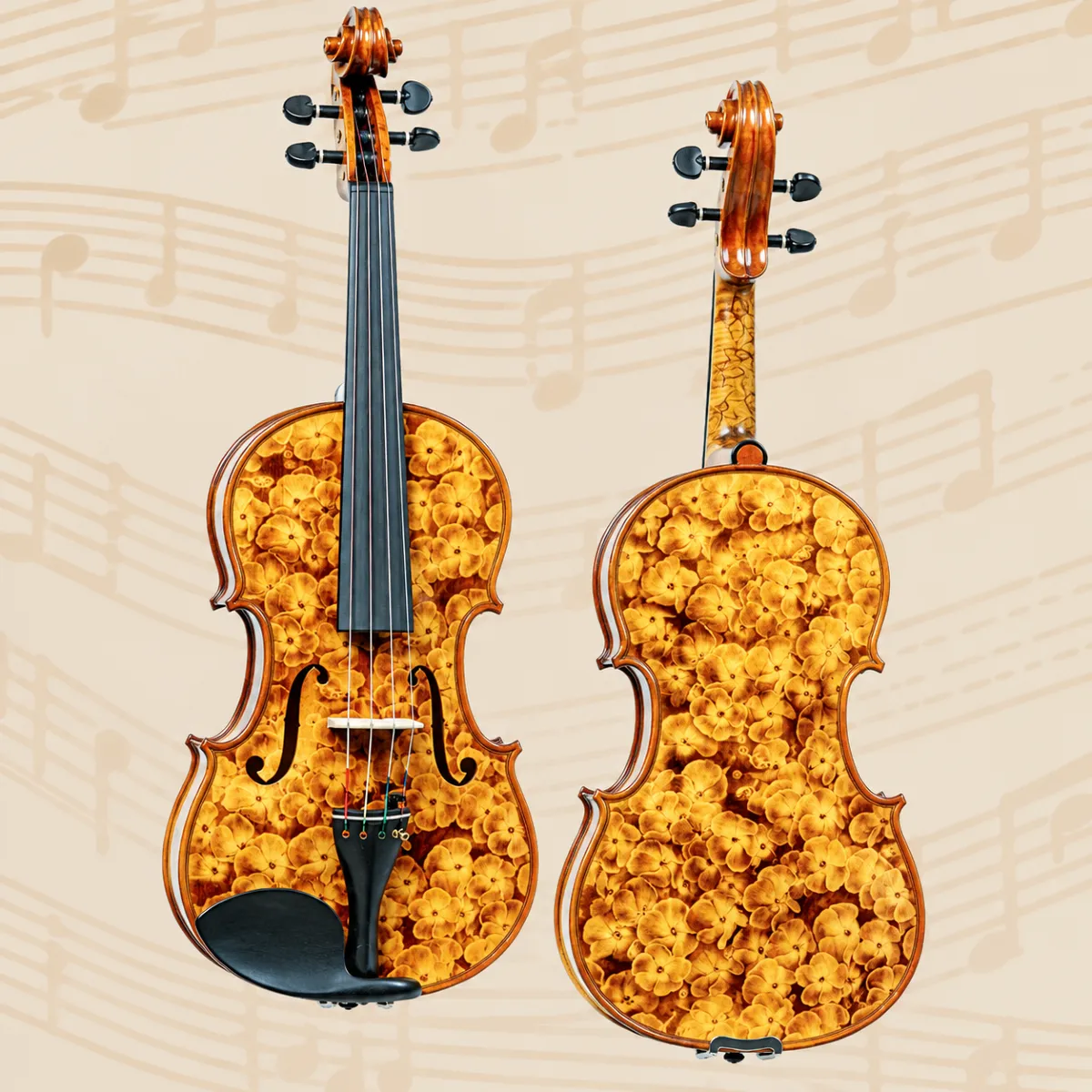 dan violin special maestro gliga vasile m v16 y