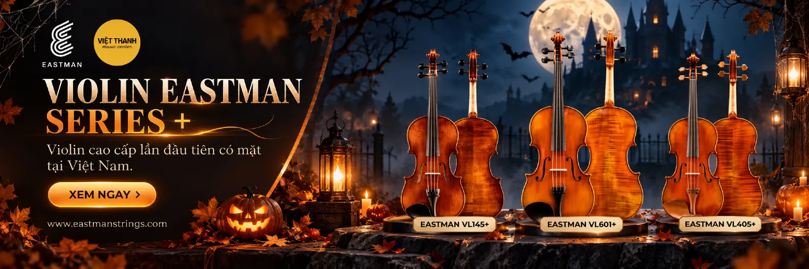 Đàn violin Eastman
