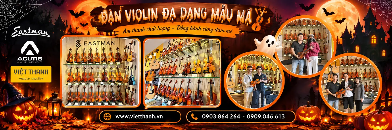 Shop violin Việt Thanh